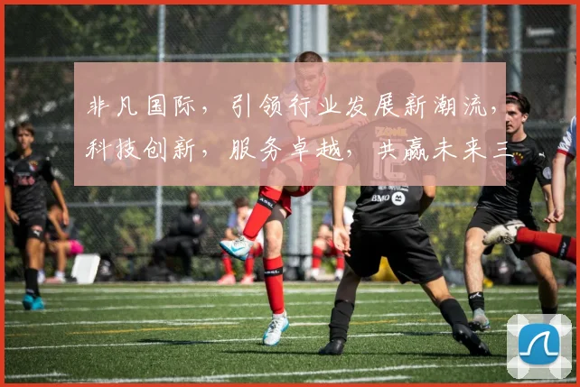 非凡国际，引领行业发展新潮流，科技创新，服务卓越，共赢未来三步走
