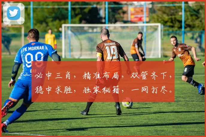 必中三肖，精准布局，双管齐下，稳中求胜，独家秘籍，一网打尽。